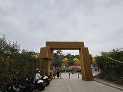 -长洲岛