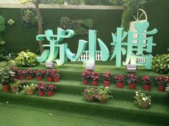 -苏小糖(鼓浪屿三丘田花园店)