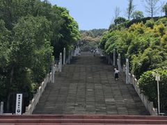 -铁山坪森林公园