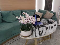 -雅曼妮spa美容养生