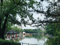 -莲湖公园