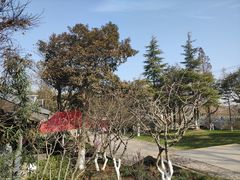 -狼山风景名胜区