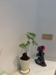 -WENDY·温迪皮肤管理