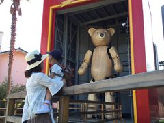 -济州岛泰迪熊博物馆