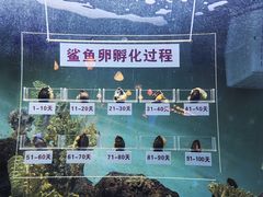 -蓬莱欧乐堡海洋极地世界