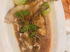 清蒸海虎斑-顺峰(农展馆店)