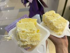 -鹏欣水游城