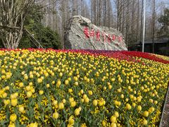 -东平国家森林公园