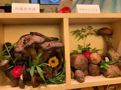 -鲤鱼洲酒店港鲤咖啡厅
