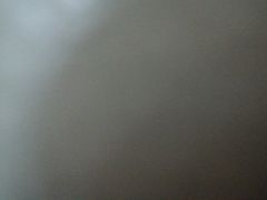 -华林禅寺