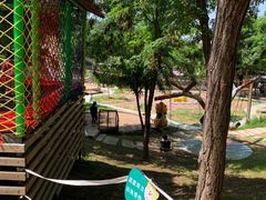 -欢乐松鼠谷