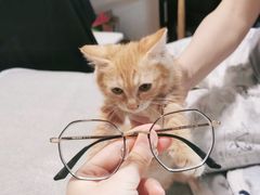 -云镜眼镜加工中心(南环路店)