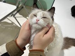 -怪兽屋·羊驼·猫咖·狗咖(俊华广场店)