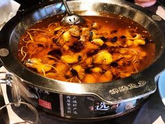 沸腾水煮鱼-新沸腾鱼乡(世贸天阶店)