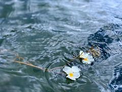 -丽江泸沽湖景区