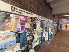 -香港大学
