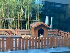 -上海崇明金茂凯悦酒店