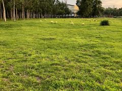 -长春市南湖公园