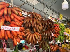 -大湾区中央湿地公园-十九涌