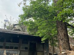 -南窖乡水峪村山情农家