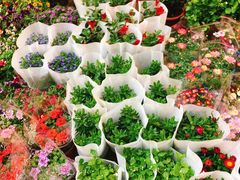 -双季花艺园艺市场(浦东店)