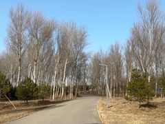 -东郊湿地公园