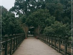 -南山植物园