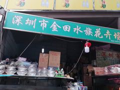 -金田水族花卉市场(银庄大厦店)