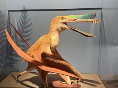 -国家自然博物馆