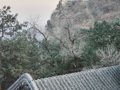-香山公园