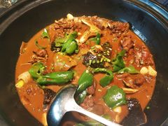 野生甲鱼-茶叁酒肆·楚味江湖(菱角湖店)