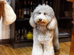 -沏点Trattoria意大利餐厅(新街口店)