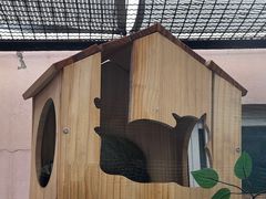 -青藏高原野生动物园