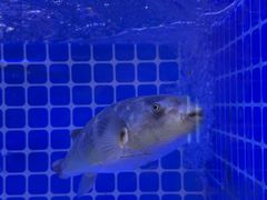 -聚宝渔港.五钻酒家(上地店)