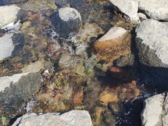 -白河湾生态旅游一条川