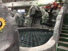 -兴芮温泉度假区