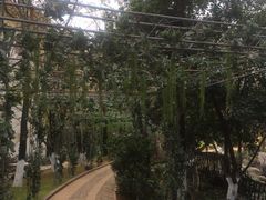 -云南民族大观园