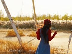 -天津东丽湖风景区