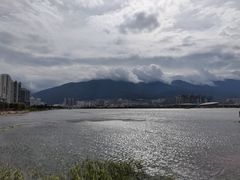 -洱海月湿地公园