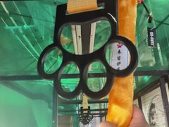 -猫咪博物馆(顶澳仔猫街店)