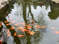 -恭王府博物馆
