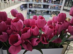 -首创奥特莱斯(北京店)