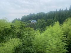 -莫干山风景区