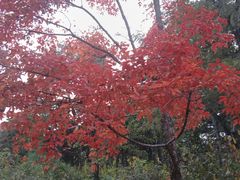 -长春市南湖公园