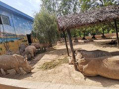 -西安秦岭野生动物园