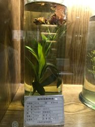 -河南中医药大学第一附属医院·皮肤美容