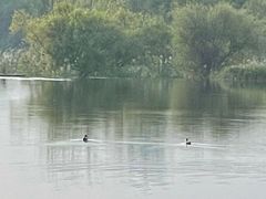 -永定河休闲森林公园