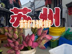 -葑门横街