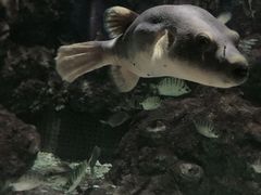 -临沂极地海洋王国