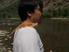 -白河湾生态旅游一条川